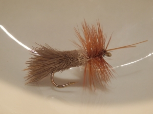 Size 16 Goddard Caddis